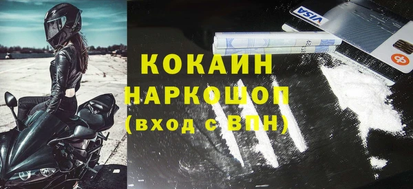 крисы Дмитриев