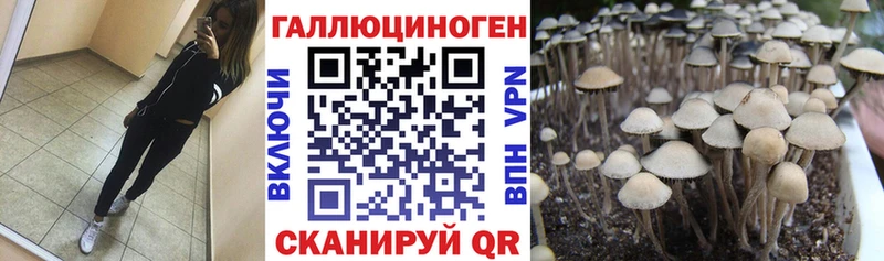 Галлюциногенные грибы Cubensis  Окуловка 