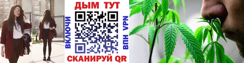 Конопля Amnesia  Окуловка 